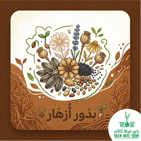 بذور أزهار