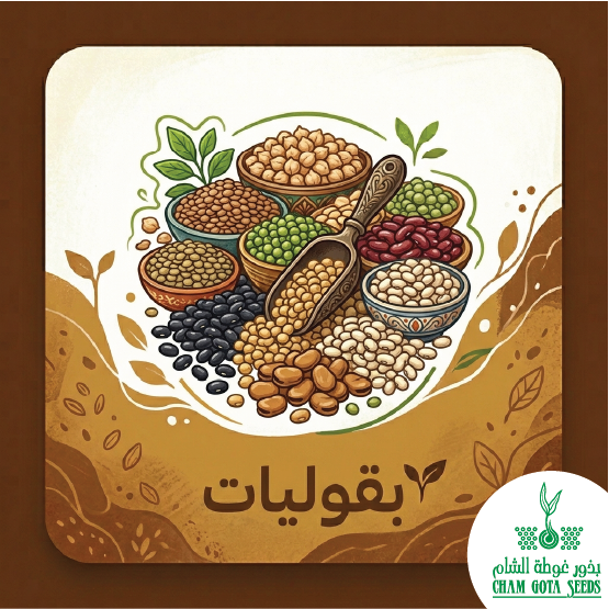 بقوليات