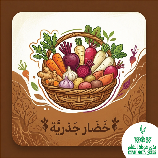 خضار جذرية