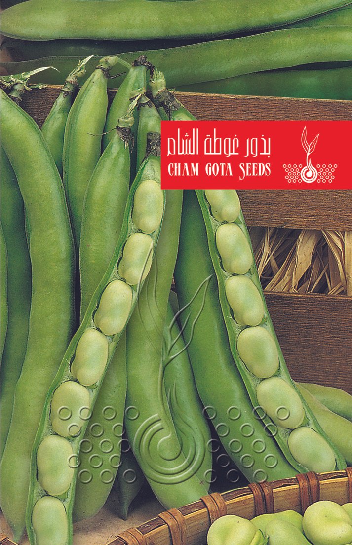 فول مالطي (إشبيليا)