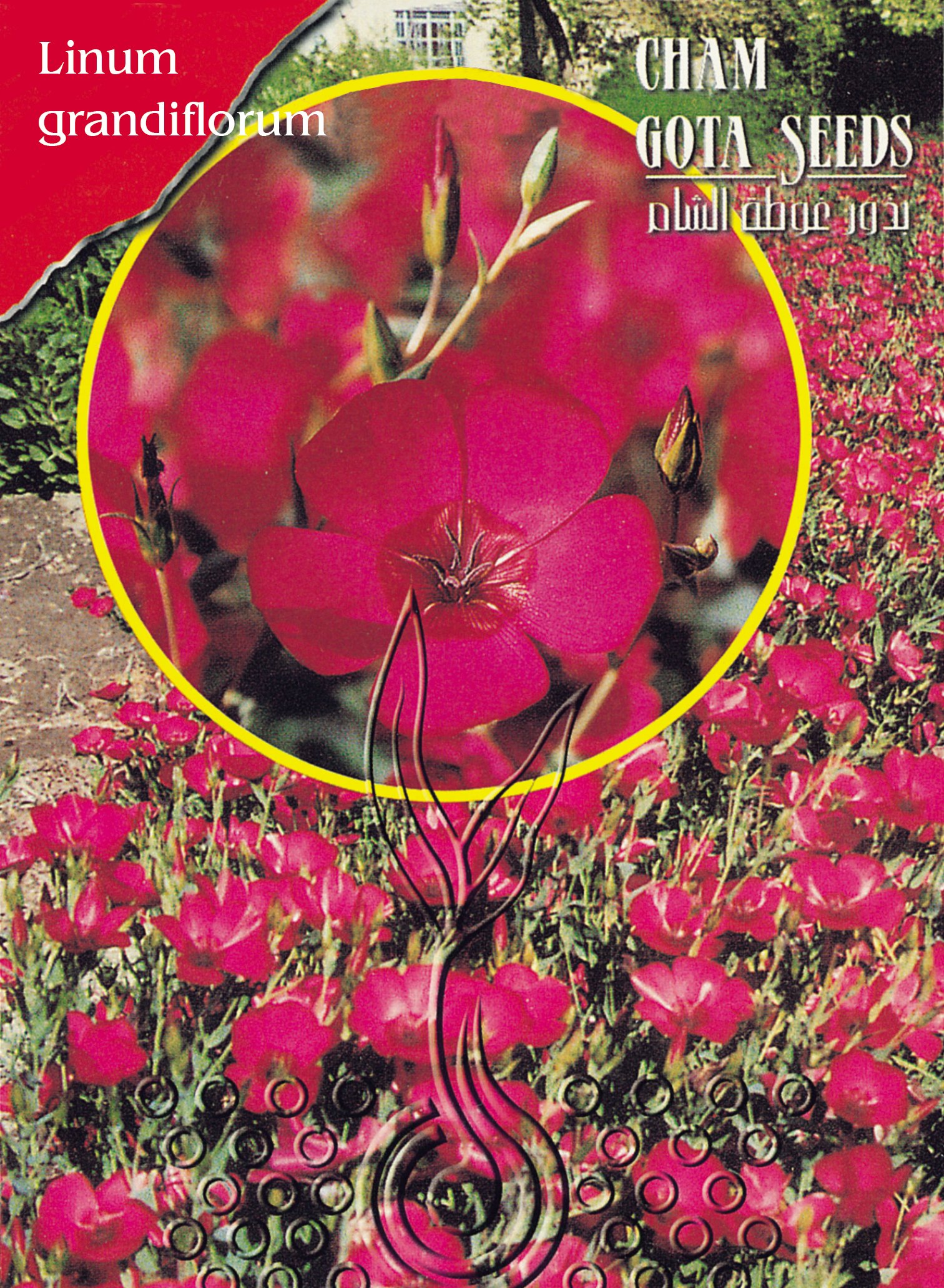 كتان زينة أحمر