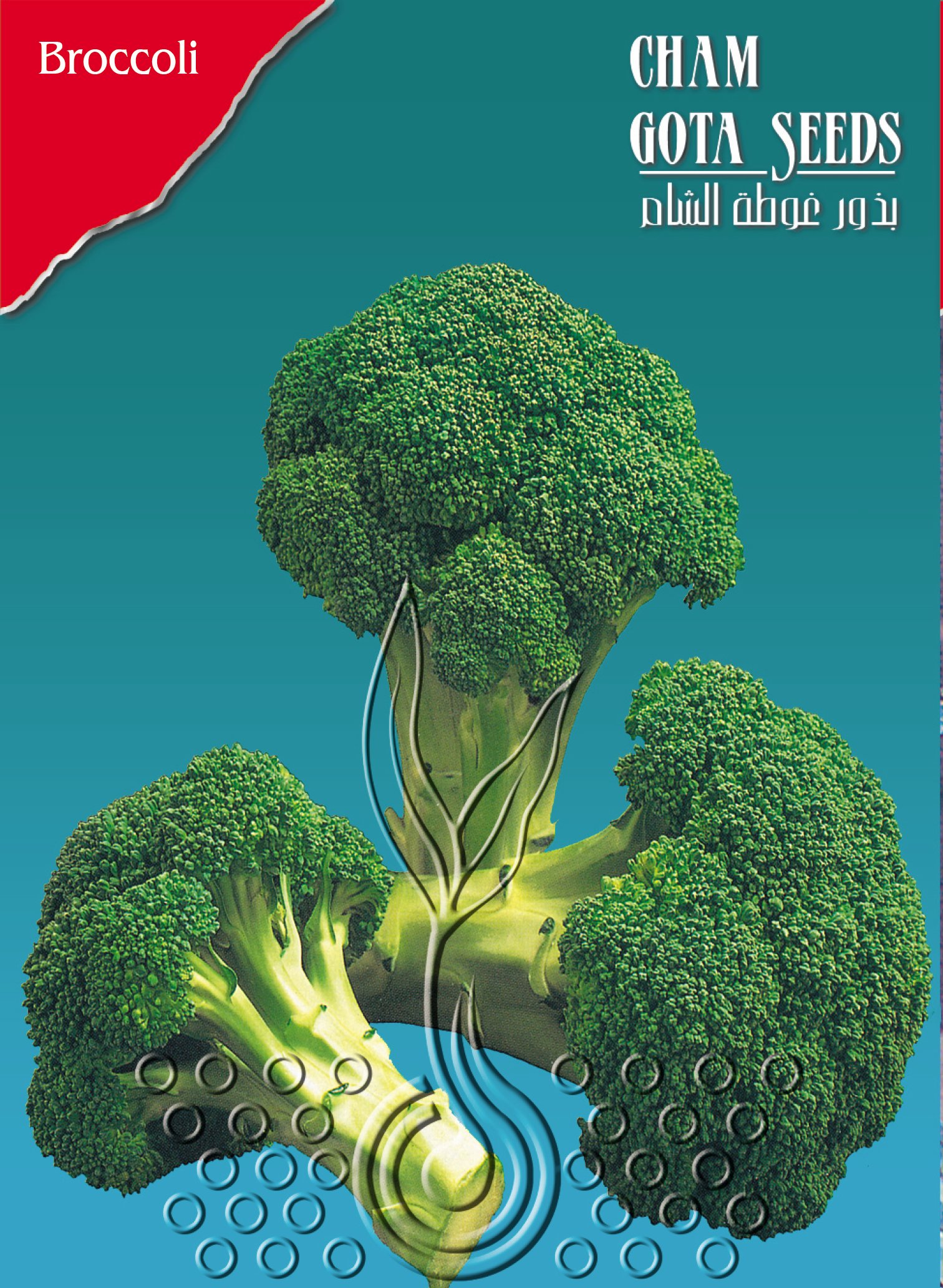 قرنبيط أخضر (بروكلي)