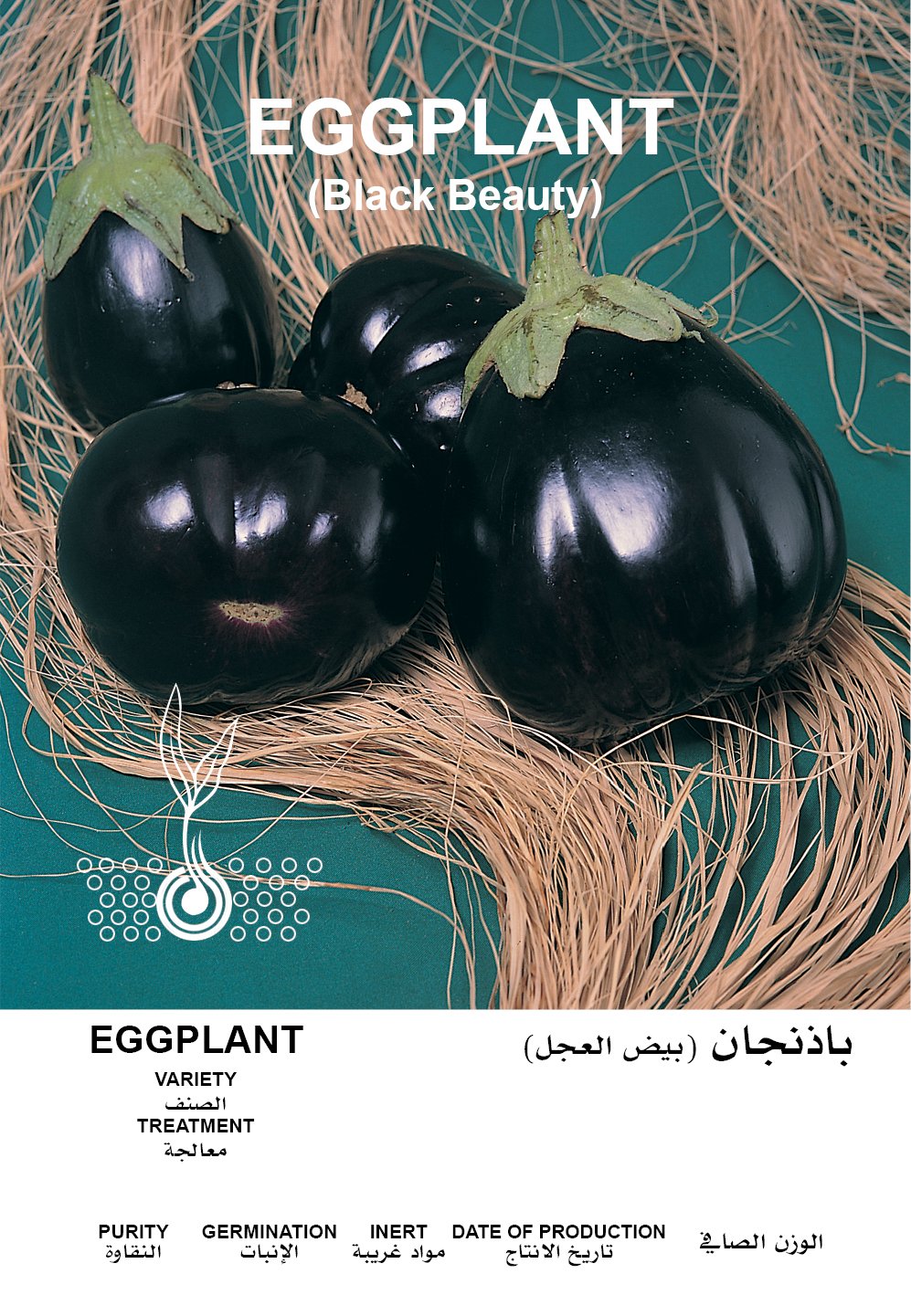 باذنجان كبير