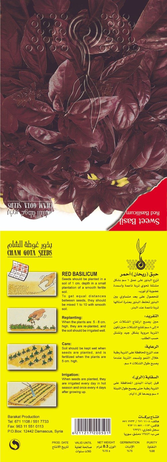 حبق ريحان أحمر