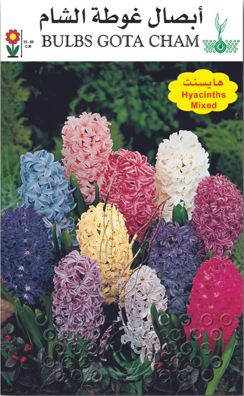 خزاما (هايسنت)