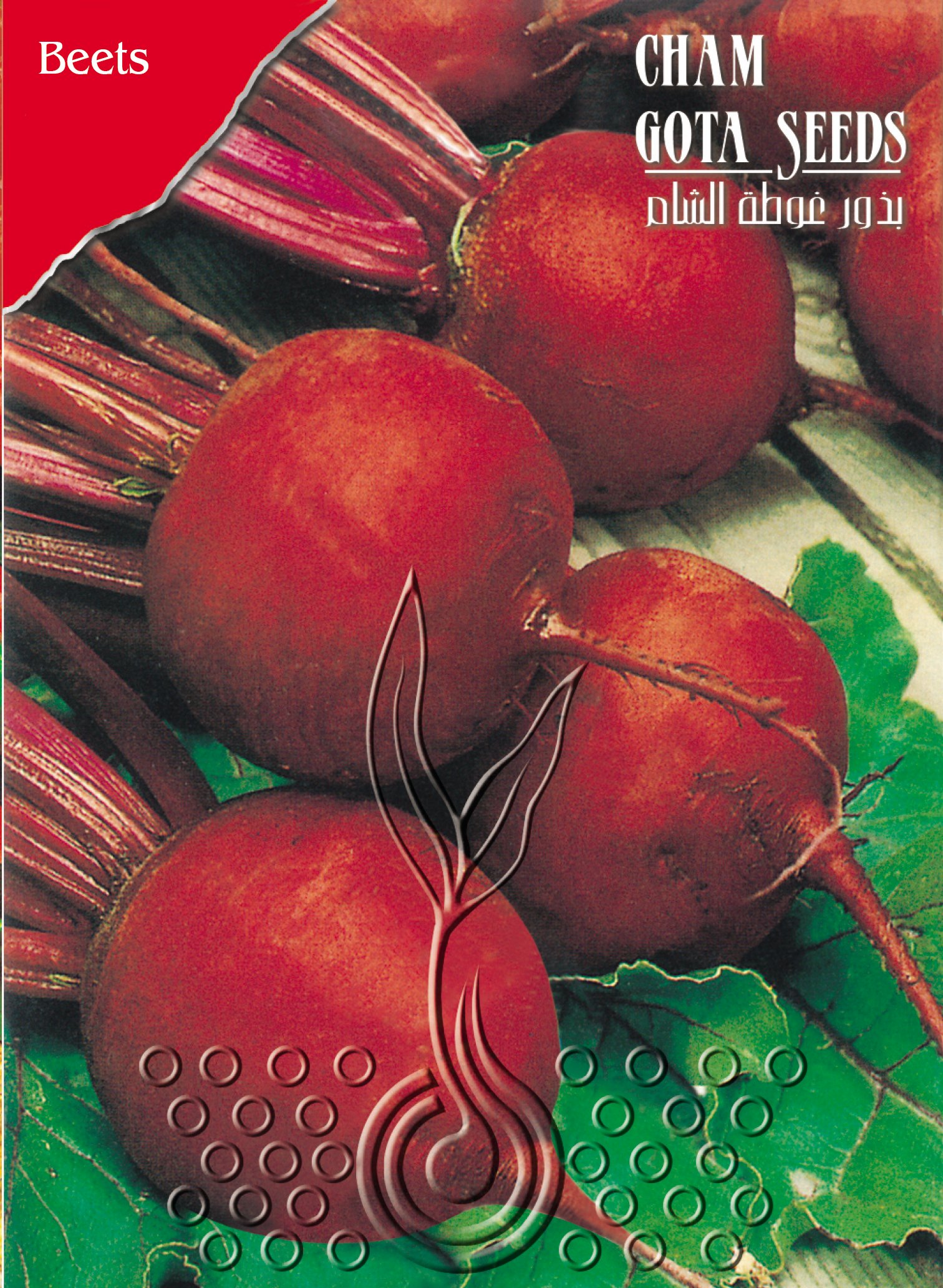 شوندر أسود