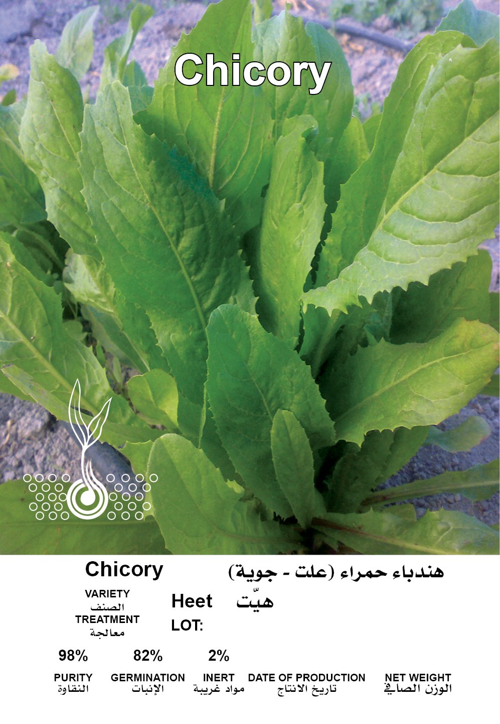 هندباء حمراء