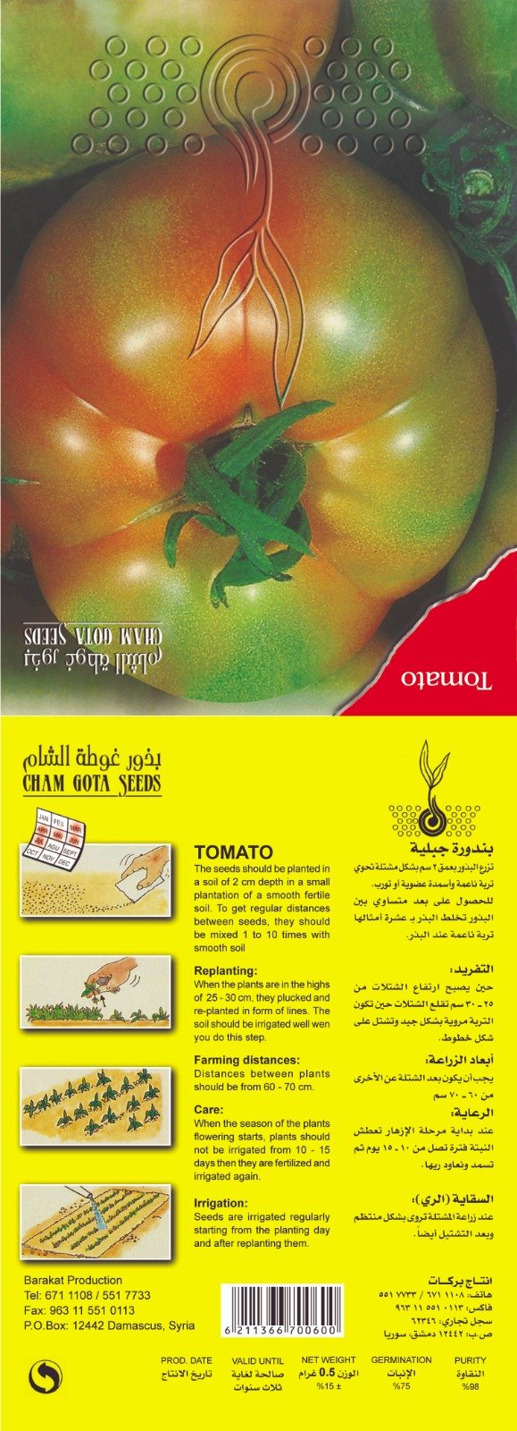 بندورة جبلية