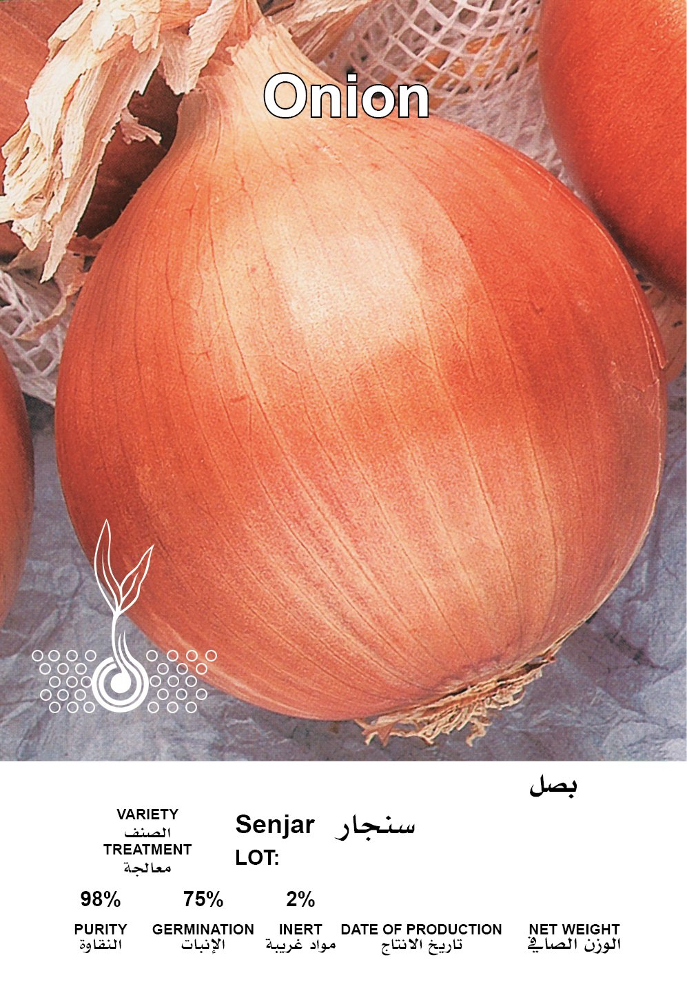 بصل