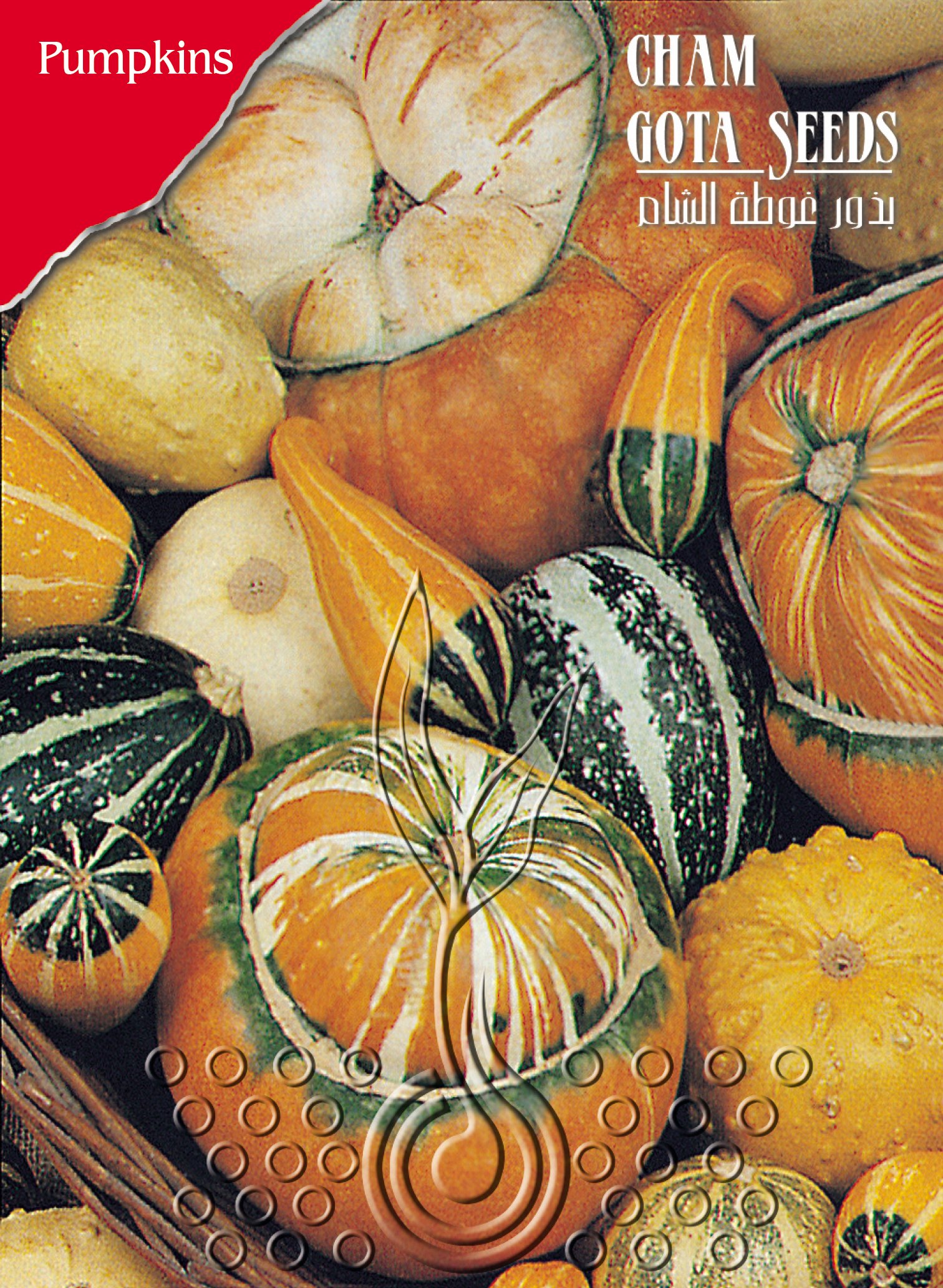 قرع زينة مشكل