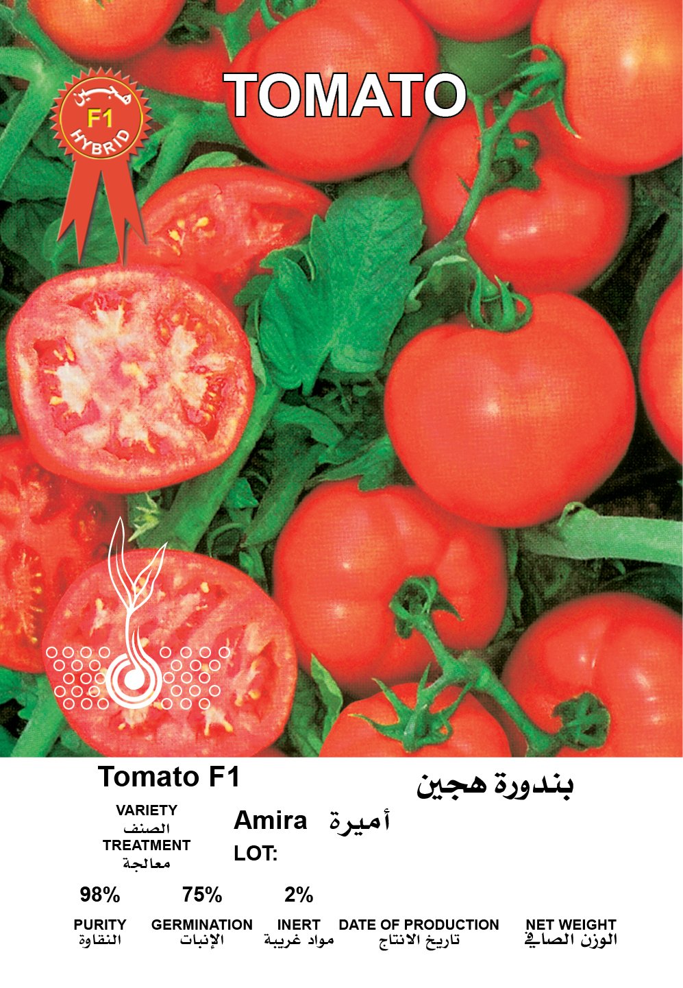 بندورة هجين