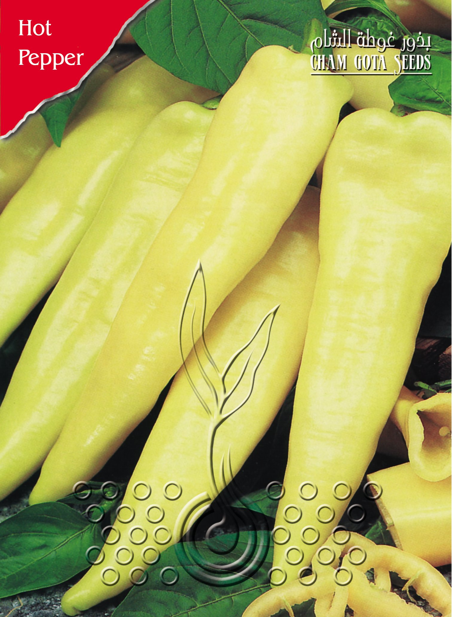 فليفلة صفراء (حره)