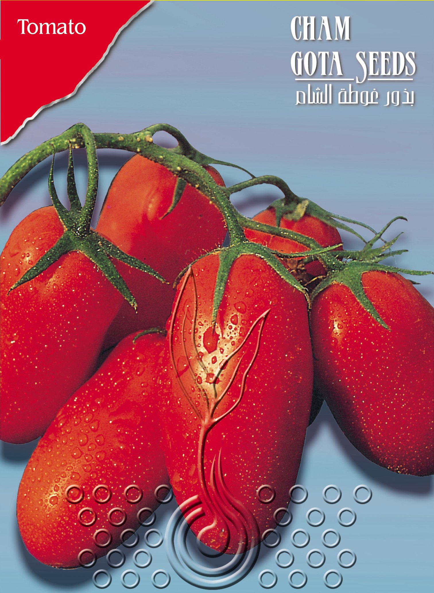 بندورة طويلة (روما)