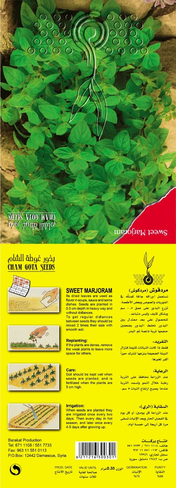 مردقوش (مردكوش)