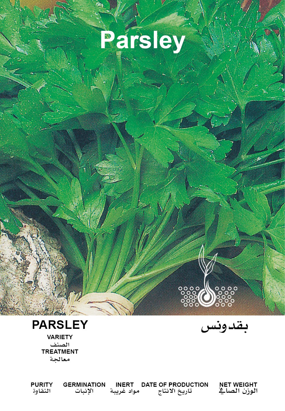 بقدونس