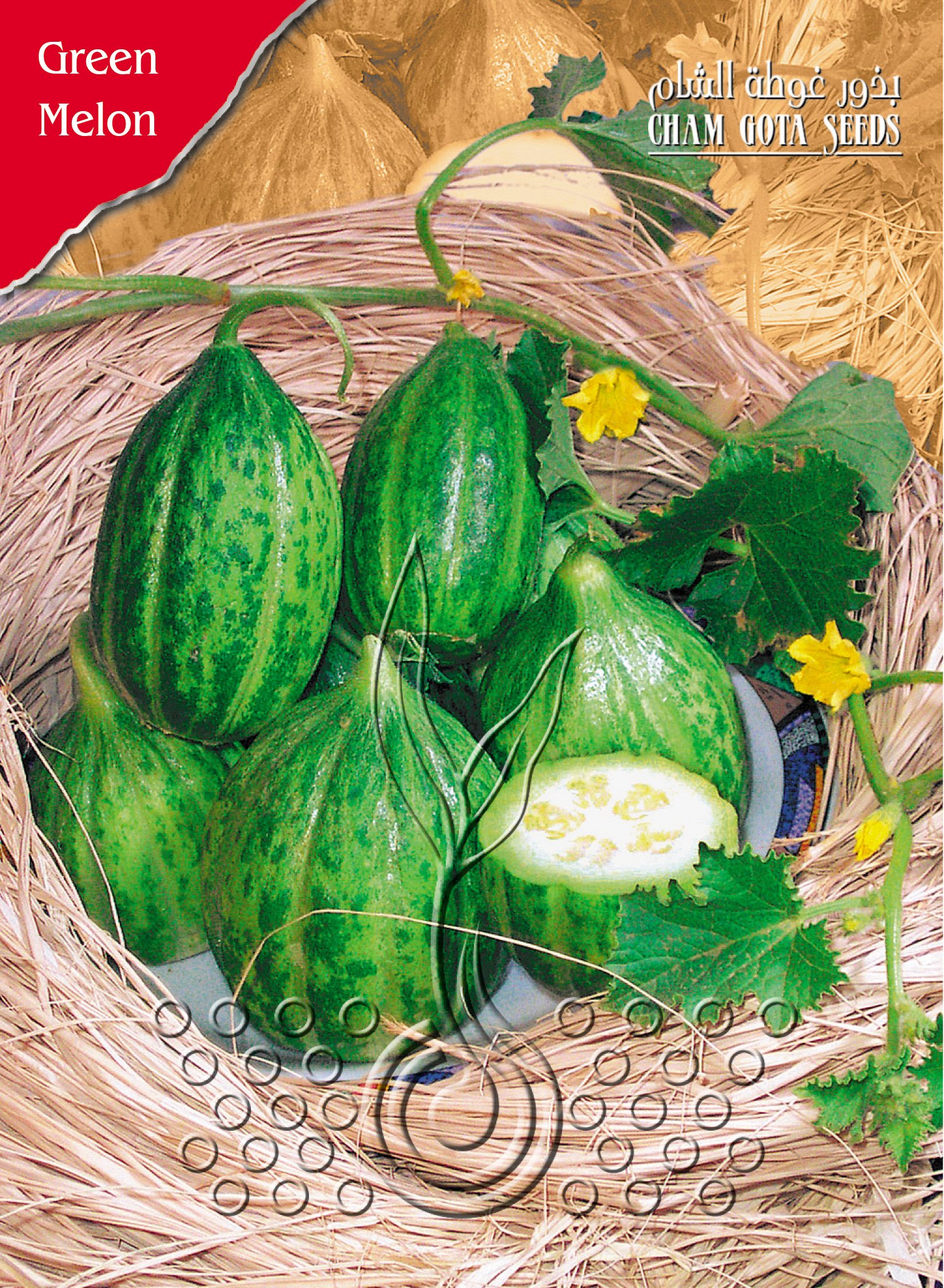 عجور (كندور)