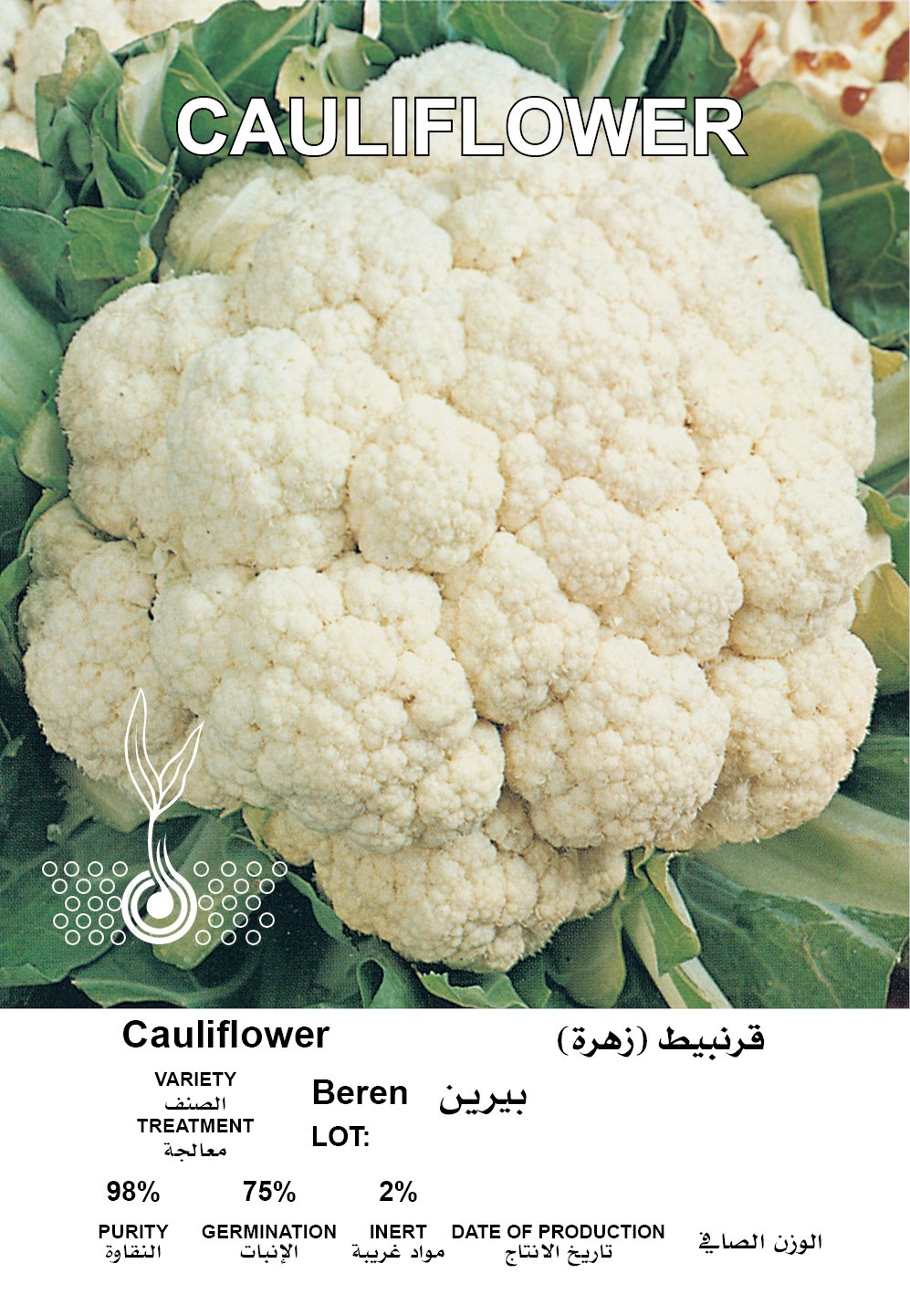 قرنبيط (زهرة)