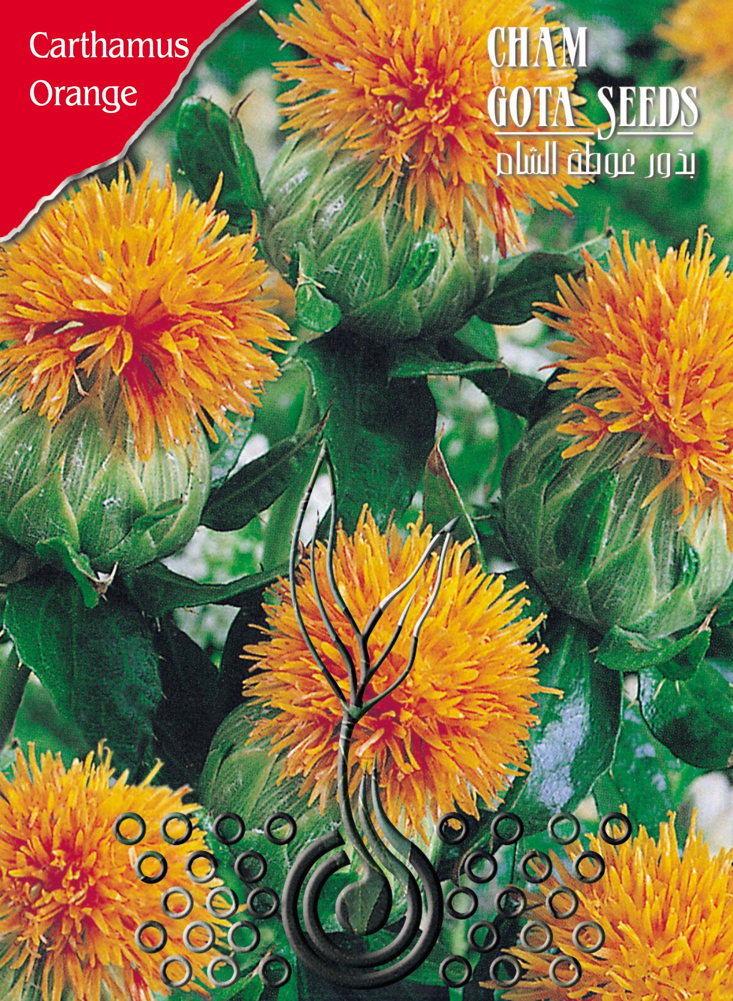 عصفر (صفران)