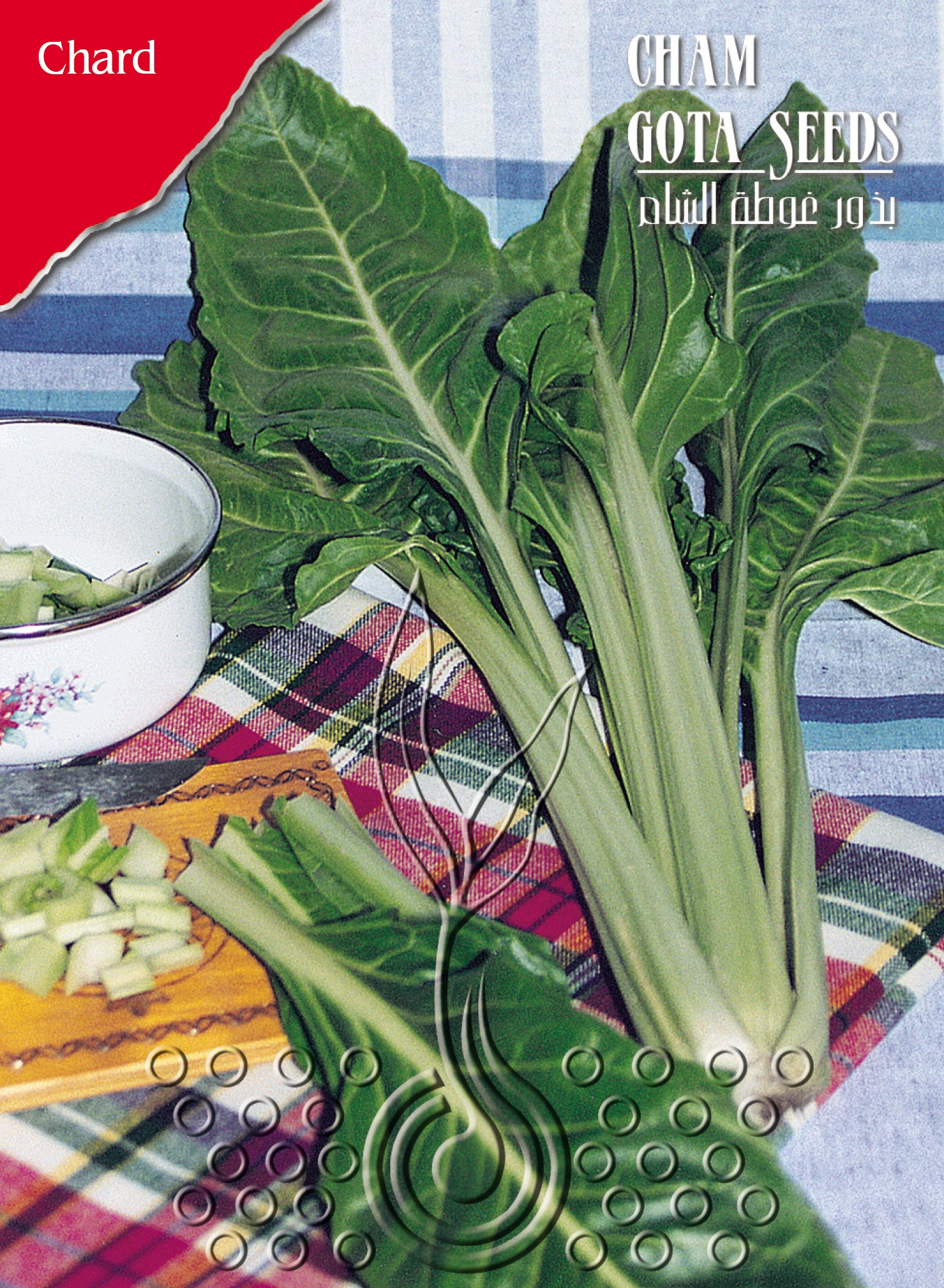 سلق
