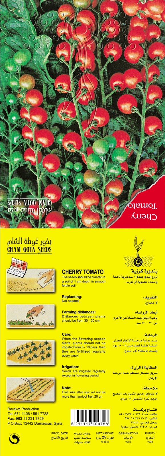 بندورة كرزية