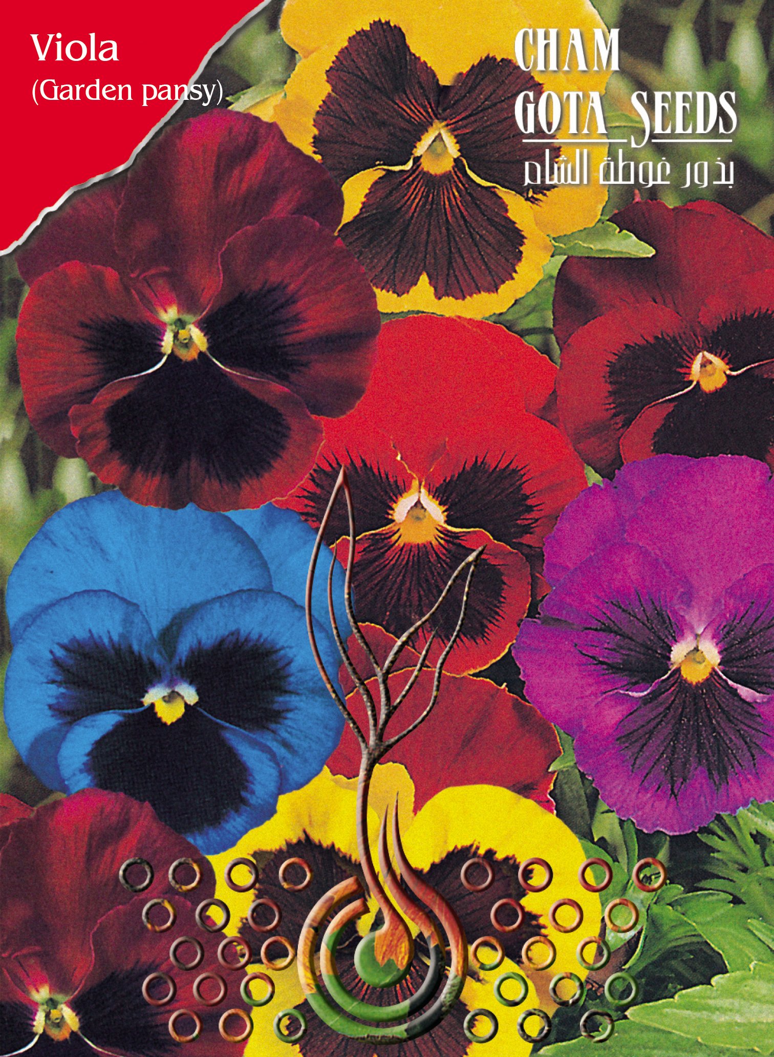 هرجاية - بانسيه - وجه القطة