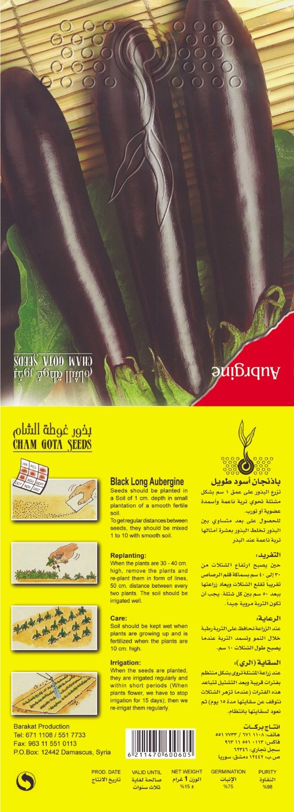 باذنجان أسود طويل