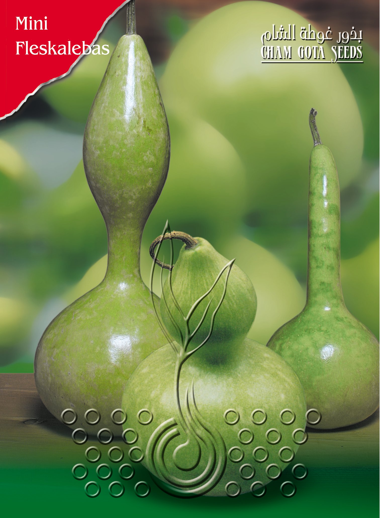 قرع زينة متسلق (شيشة)