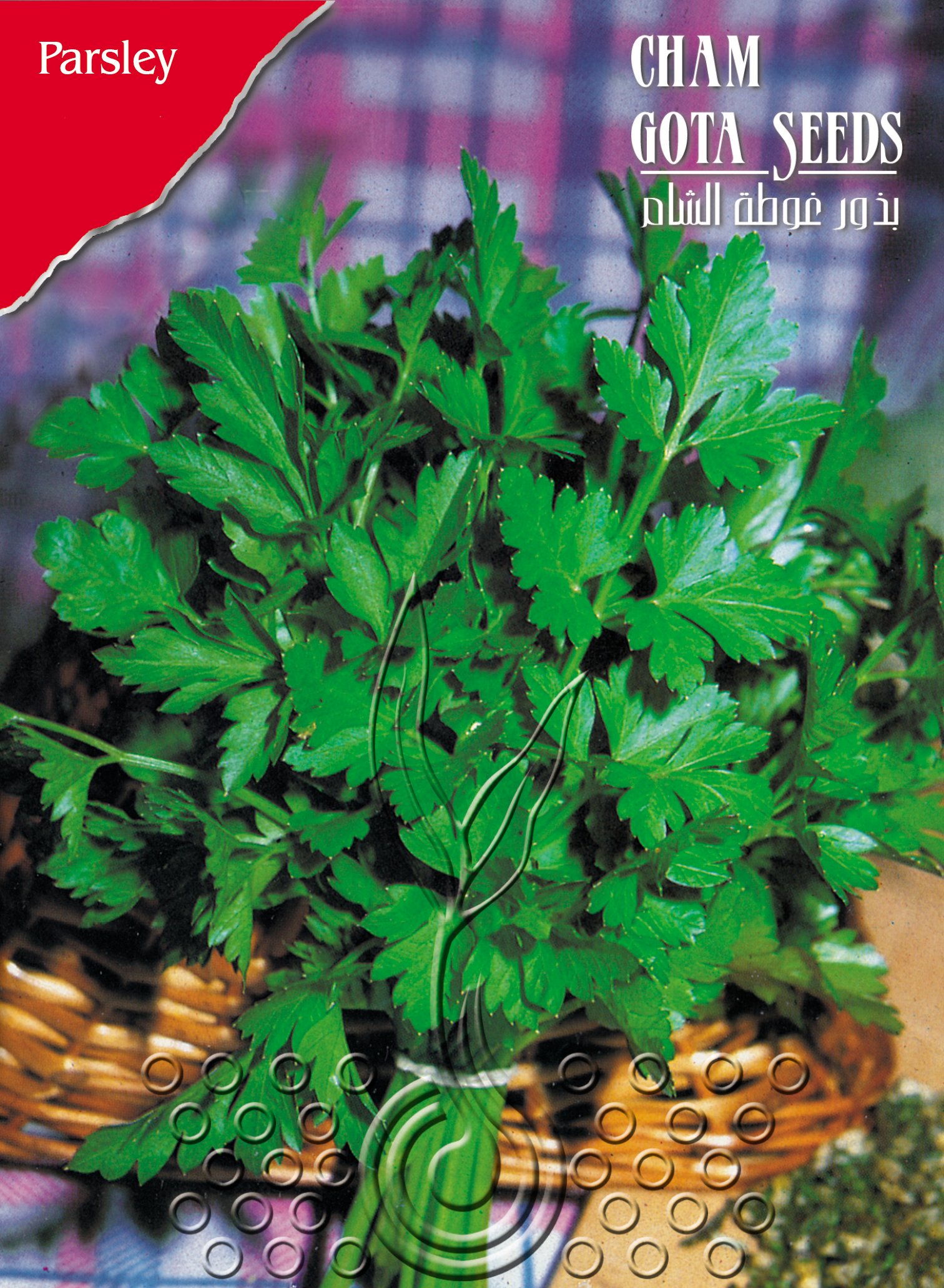 بقدونس