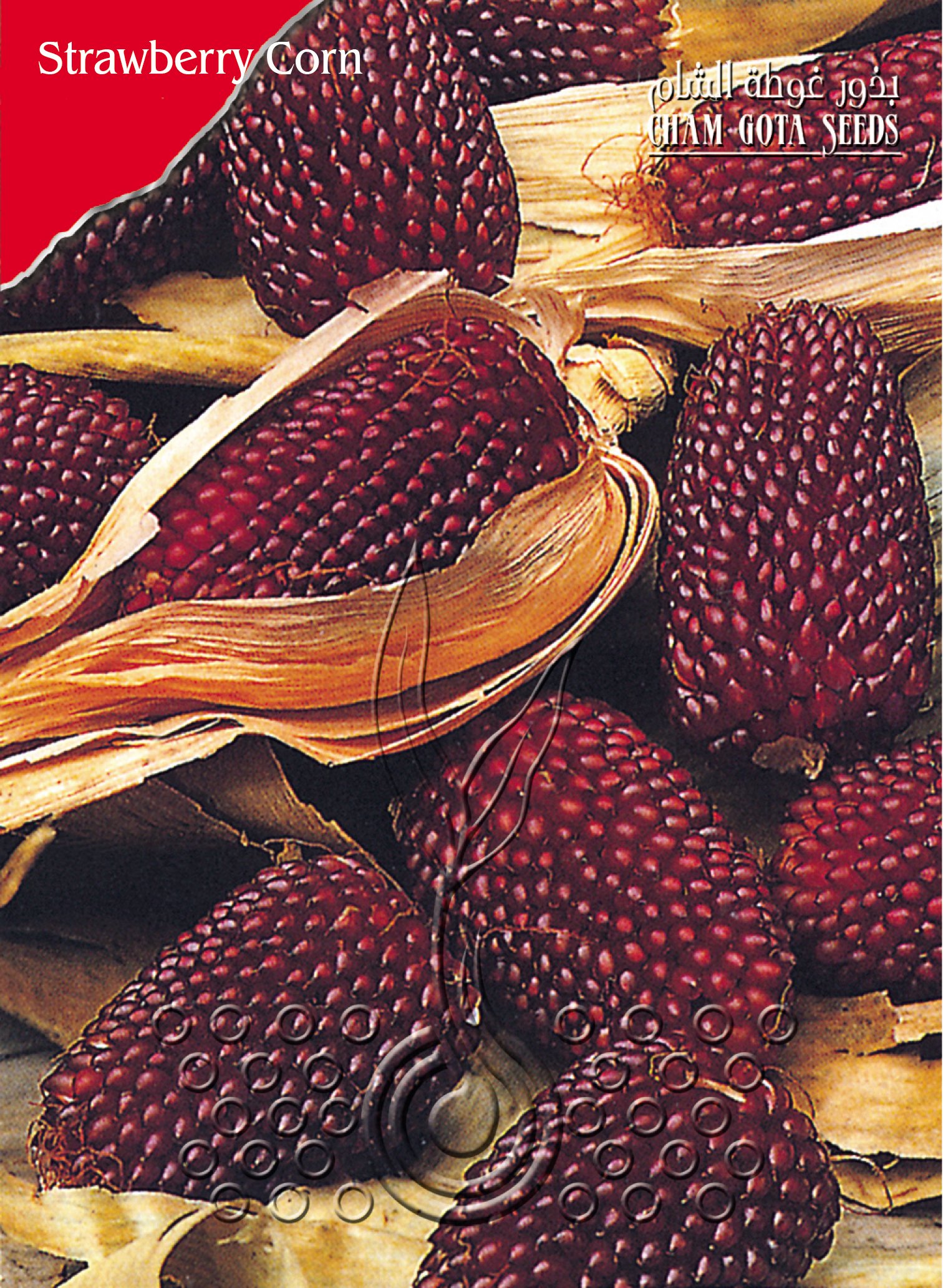 ذرة فريزية