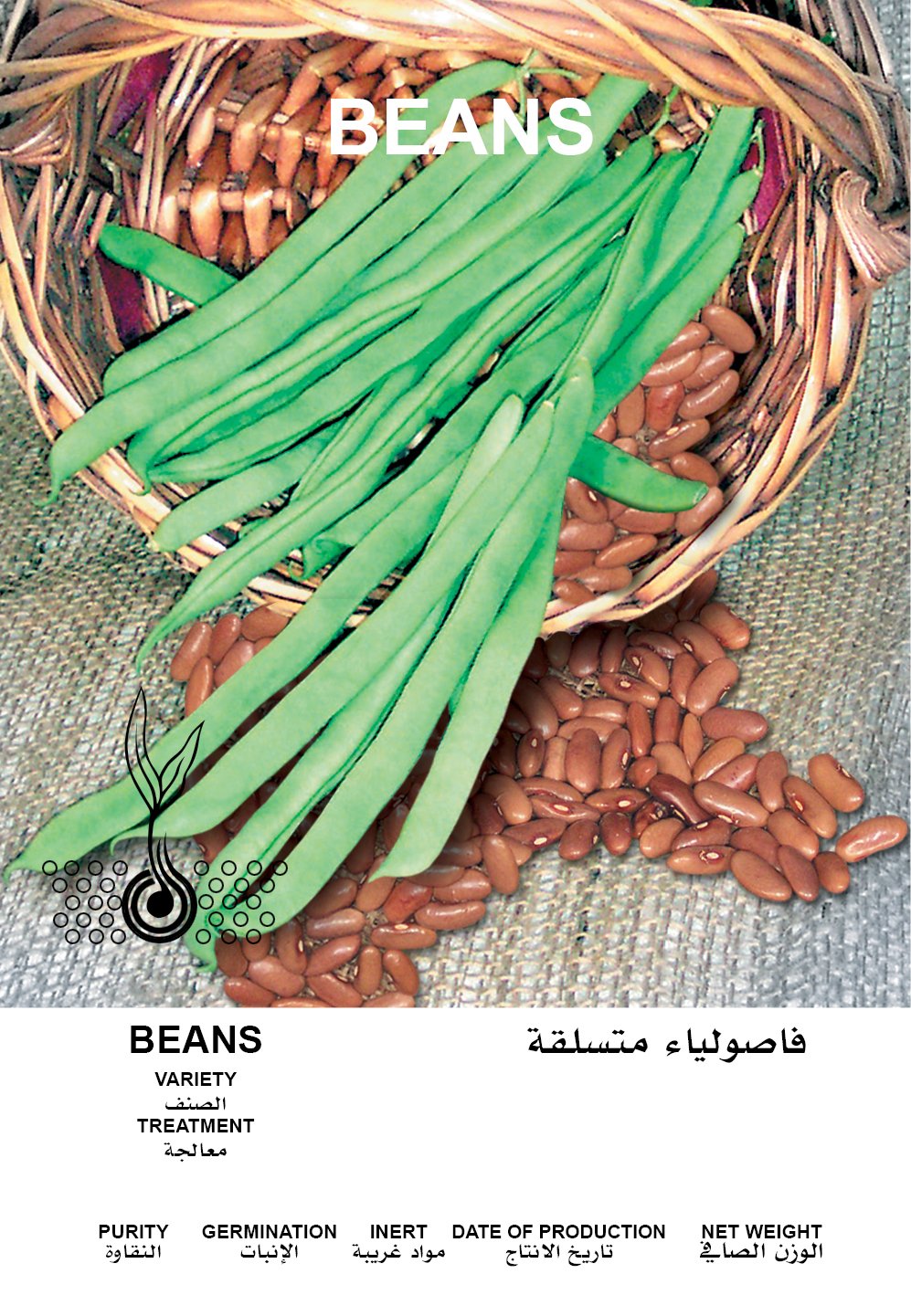 فاصولياء متسلقة