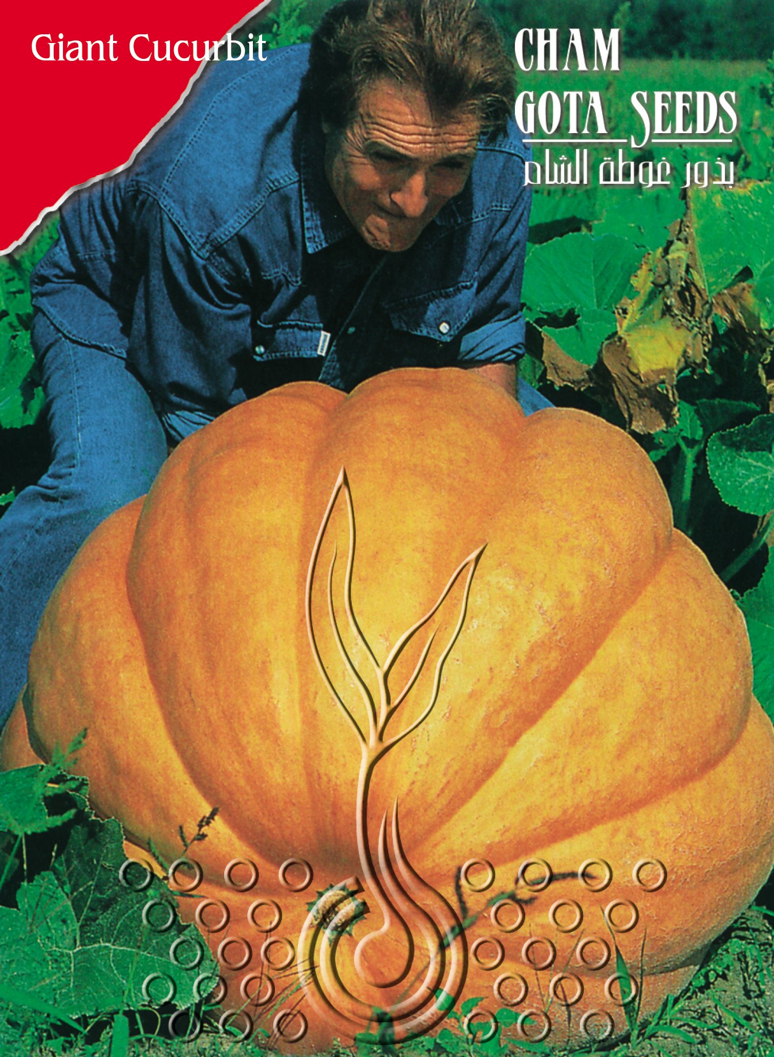 قرع عملاق