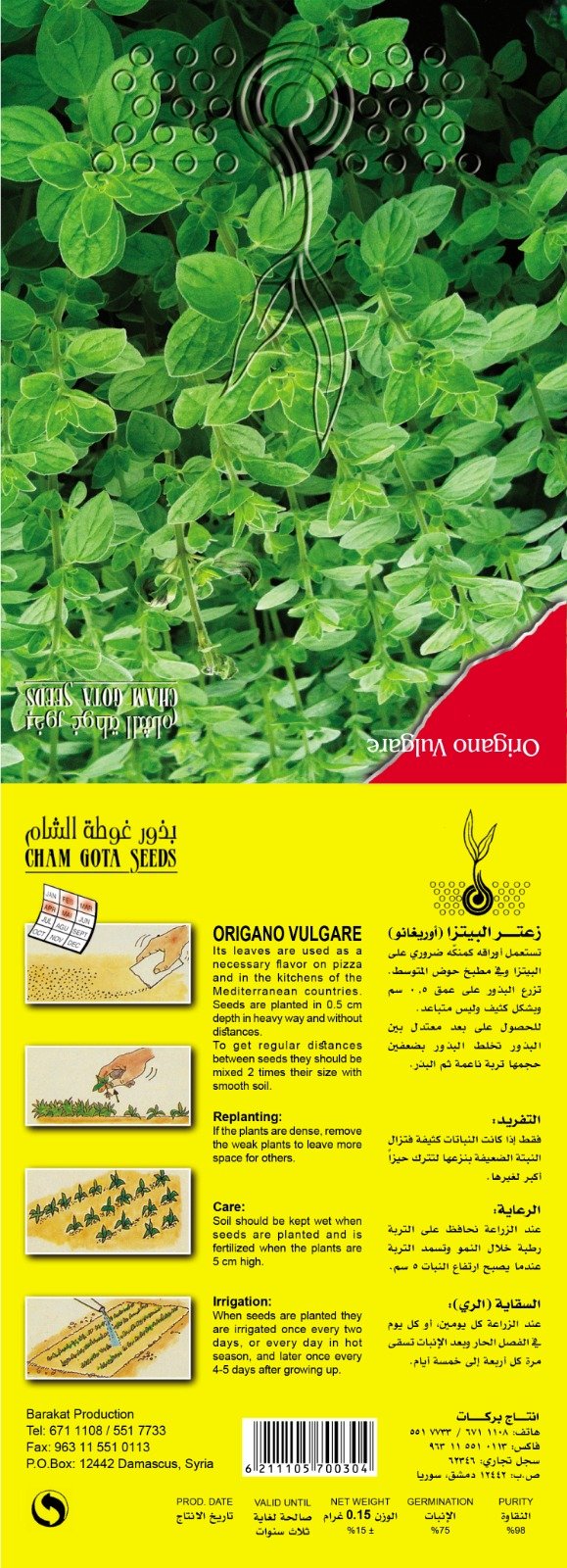 زعتر البيتزا (أوريغانو)